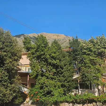 Hotel Petro